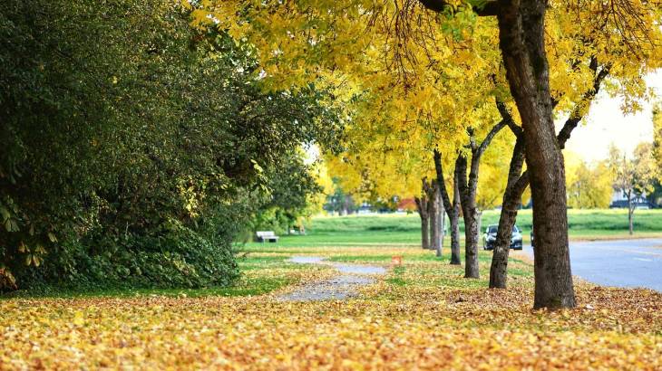 Intercâmbio no Canadá: Vancouver ou Toronto? Como escolher?